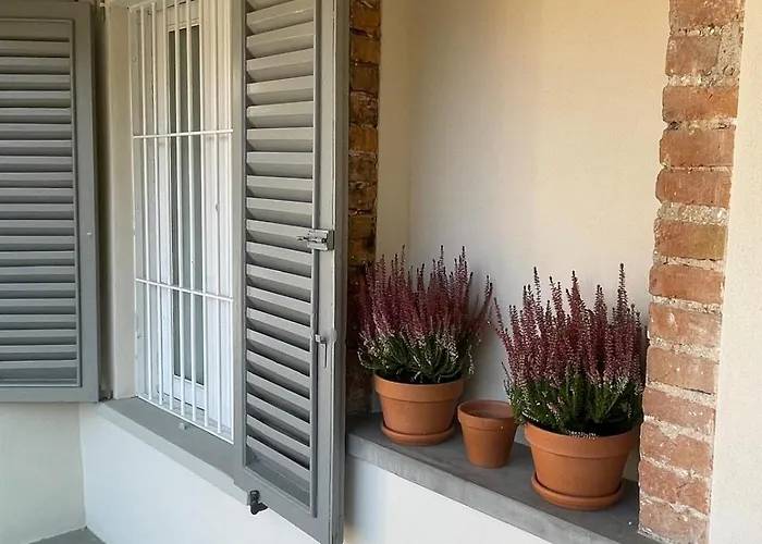 Apartment Rota's House